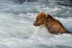 Jacuzzi Fishing