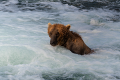 Jacuzzi fishing