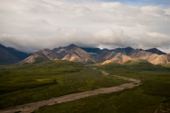 Denali Landscape 2