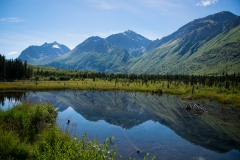 Eagle River Nature Center Trail Landscape 3