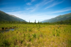 Eagle River Nature Center Trail Landscape Looking Down The Valley