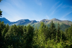 Eagle River Nature Center Trail Landscape