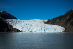 Holgate Glacier Kenia Fjords National Park