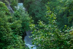 Thunderbird Falls Trail Falls