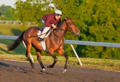 Keeneland Race Horse