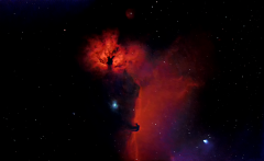 Flame-Nebula-NGC-2024