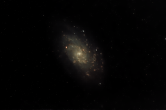 M33