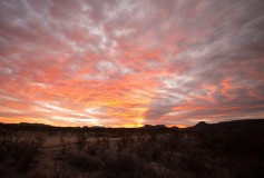 Javelina-Hideout-Sunrise