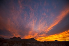 Javelina-Hideout-Sunset