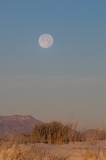 Sunrise-with-Moon-Portrait-White-Sands-National-Monument-New-Mexico