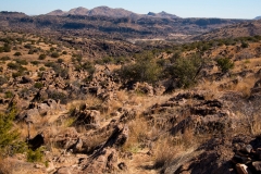 Outerloop Trail 2 Chihauhuan Desert Nature Center