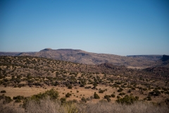 Outerloop Trail Chihauhuan Desert Nature Centerl