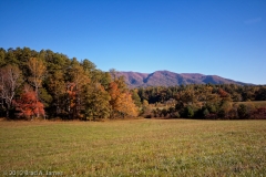 Cades_Cove_Looking_North_from_Loop_Smoky_Mountains_National_Park