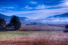 Cades_Cove_Looking_South_from_Loop_Smoky_Mountains_National_Park