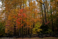 Roaring_Fork_First_Fence_Row_Great_Smoky_Mountains_National_Park