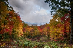 Roaring_Fork_First_Overlook_HDR_Great_Smoky_Mountains_National_Park