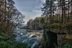 Cape Flattery Washington Looking North