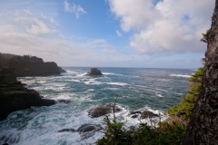 Cape Flattery Washington Looking South Also