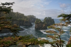 Cape Flattery Washington Looking South