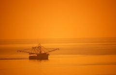 Fishing Boat in the Morning - Myrtle Beach, South Carolina