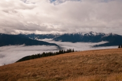 Hurricane Ridge Olympic National Park Washington