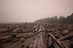 Kalaloch Beach Olympic National Park Washington Logs on Beach Rain Storm