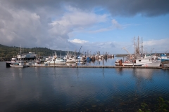 Neah Bay Harbor Washington Fishing Boats