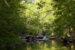 Onion Creek McKinney Falls State Park