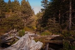 Rialto Beach Olympic National Park Washington Stream Flowing into Ocean