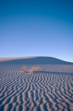 Ripples Portrait White Sands National Monument, New Mexico