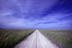 Road to no where 15 Mile Cut South Padre National Seashore