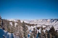 Scenic Mammoth to Norris Basin Snow Coach Yellowstone