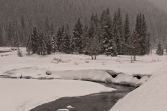 Stream Flowing Lamar Valley Heavy Snow Storm Yellowstone