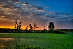 Sunrise Elm Lake Brazos Bend State Park