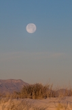 Sunrise with Moon Portrait White Sands National Monument, New Mexico