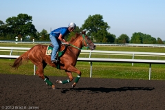 Keeneland_7