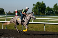 Keeneland_9