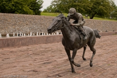 Thoroughbred_Park_5