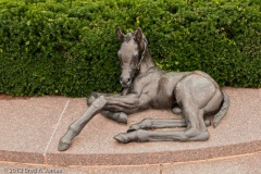 Thoroughbred_Park_6