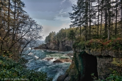 Cape_Flattery_Washington_Looking_North