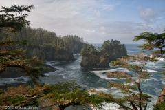 Cape_Flattery_Washington_Looking_South