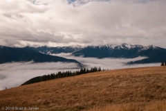 Hurricane_Ridge_Olympic_National_Park_Washington