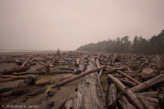 Kalaloch_Beach_Olympic_National_Park_Washington_Logs_on_Beach_Rain_Storm