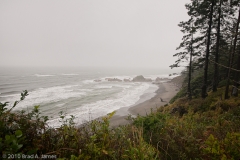 Kalaloch_Beach_Olympic_National_Park_Washington_North_of_Beach_Rain_Storm