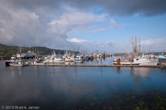 Neah_Bay_Harbor_Washington_Fishing_Boats