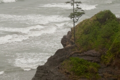 Olympic_National_Park_Washington_Sea_Stack