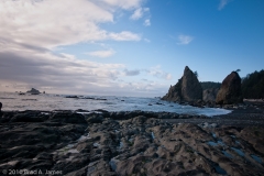 Rialto_Beach_Olympic_National_Park_Washington_Hole_in_the_Wall_Past_Stacks_on_Right