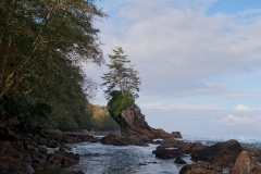 View_from_Washington_State_Route_112_Sea_Stack_With_Trees