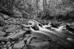 Bridal Veil Creek Oregon Longer Exposure B&W