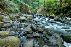 Bridal Veil Creek Oregon